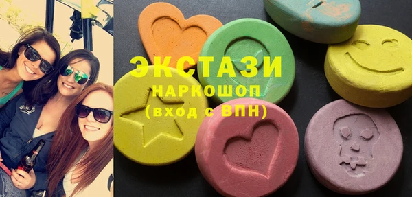 ECSTASY Бородино